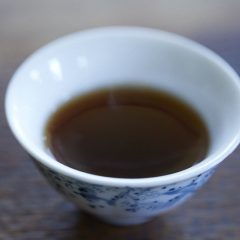 Gongting Pu ’92