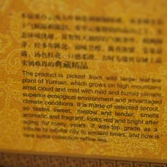 Gongting Pu ’92