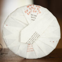 white hair of gushu puerh – bing ’24