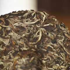 white hair of gushu puerh – bing ’24