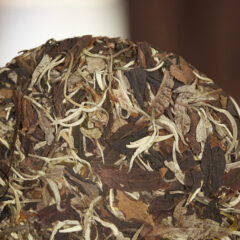 white hair of gushu puerh – bing ’24