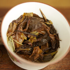 white hair of gushu puerh – bing ’24