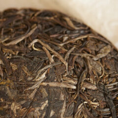 Gushu Rare5 2025 spring gushu/gaogan