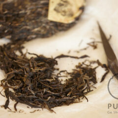 Gushu Rare5 2025 spring gushu/gaogan