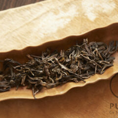 Gushu Rare5 2025 spring gushu/gaogan