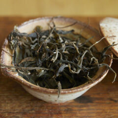 5 oldest tea trees of PSZ ’25 maocha