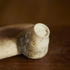 Teo’s porcelain cup #02726