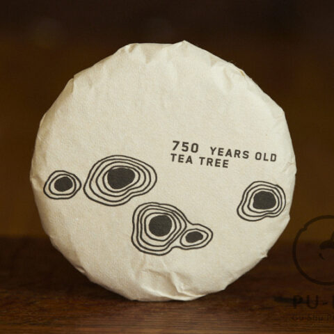 750 years old tree 2026 bing
