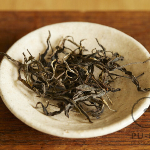 766 years old tree 2026 maocha