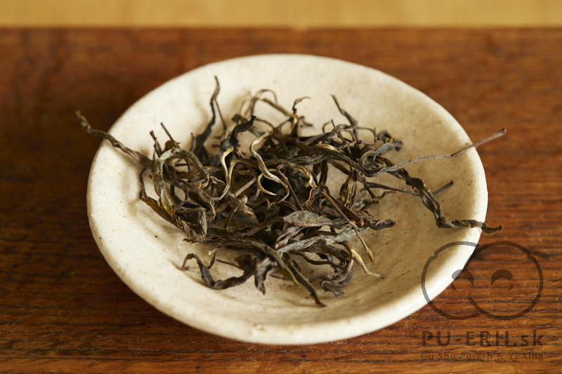766 years old tree 2026 maocha