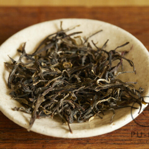 750 years old tree 2026 maocha