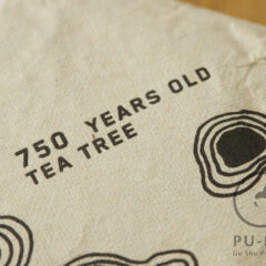 750 years old tree 2026 bing