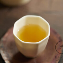 766 years old tree 2026 bing