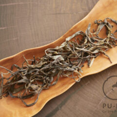 766 years old tree 2026 maocha