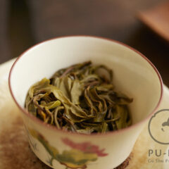 766 years old tree 2026 maocha