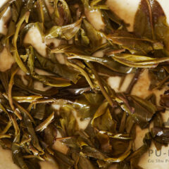 Mangsheqing Gaogan 2026