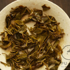 Yibang Gushu 2026