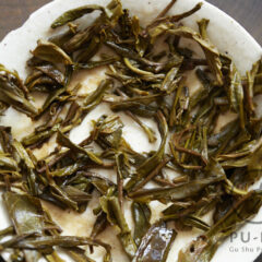 Yiwu ZJW Gushu 2026